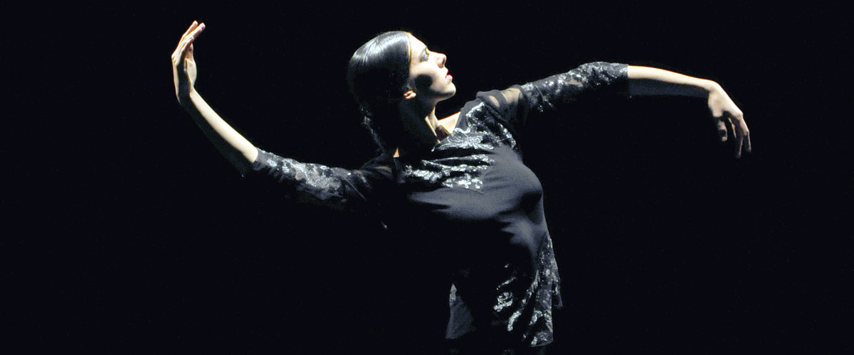 Mi is az a flamenco?